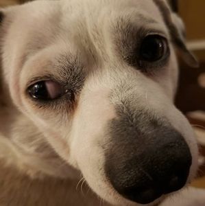 Meet your Posher, Timothy